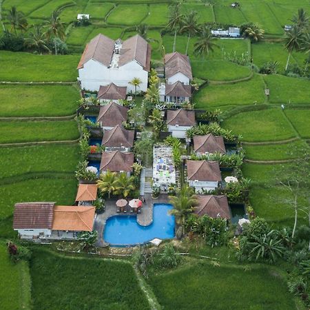Tanta Escape Otel Tegallalang  Dış mekan fotoğraf